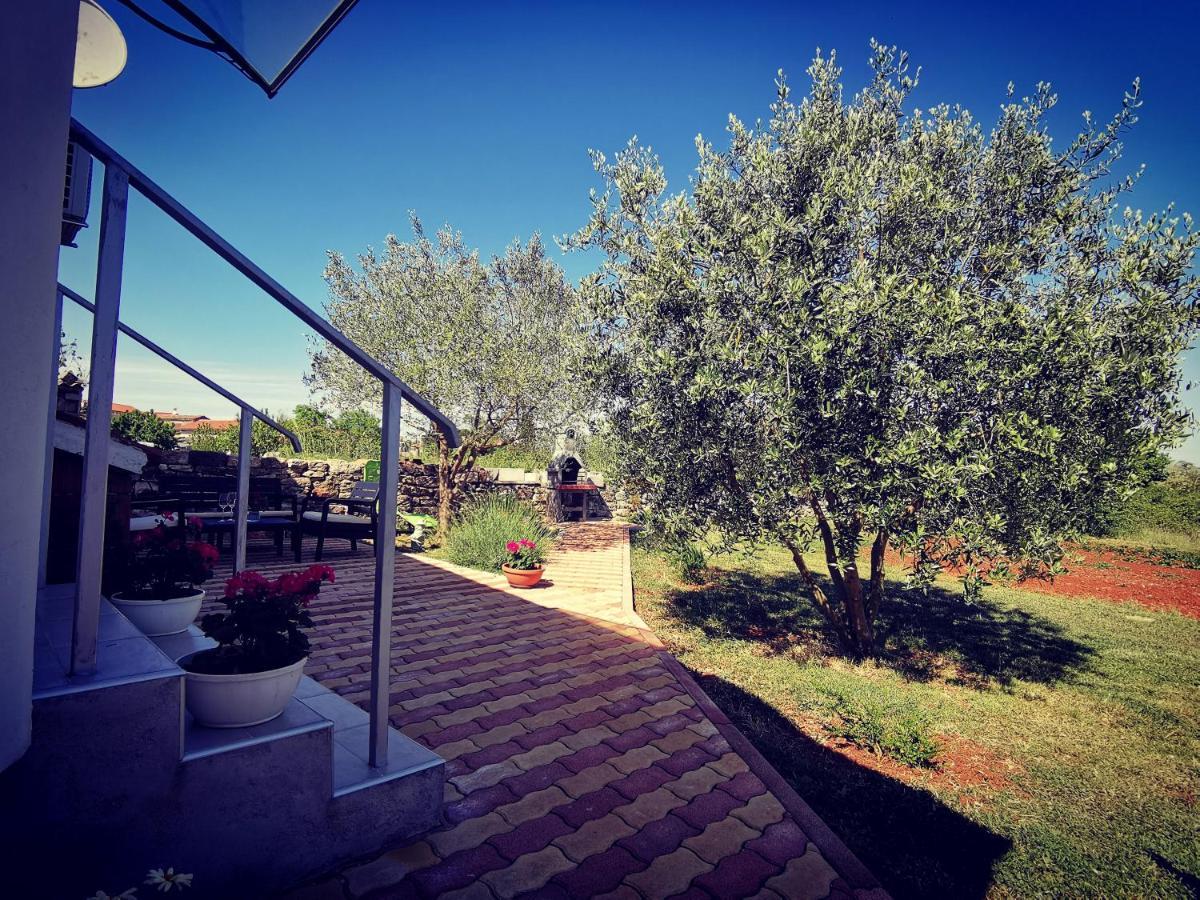 Apartment Ulika Marčana Dış mekan fotoğraf
